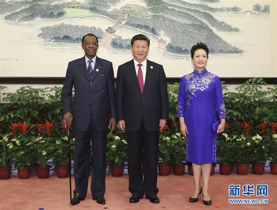 （杭州G20XHDW）（21）习近平和彭丽媛迎候宴会贵宾