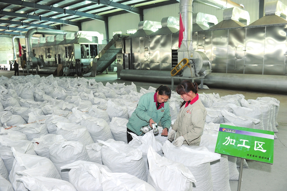 山西振东中药材产业精准“造血”扶贫