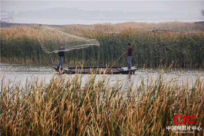 渔民捕鱼 摄影：李少白