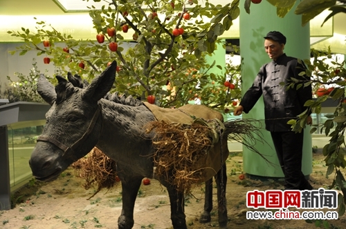 洛川苹果的中国梦：互联网＋农村的成功案例