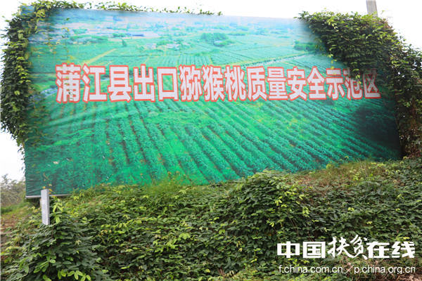 蒲江县出口猕猴桃质量安全示范区