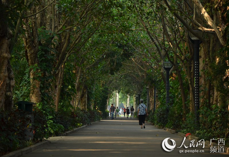 城市光影24小时:上午8时的南宁(农冠斌、陆小桂、赵冬/摄)