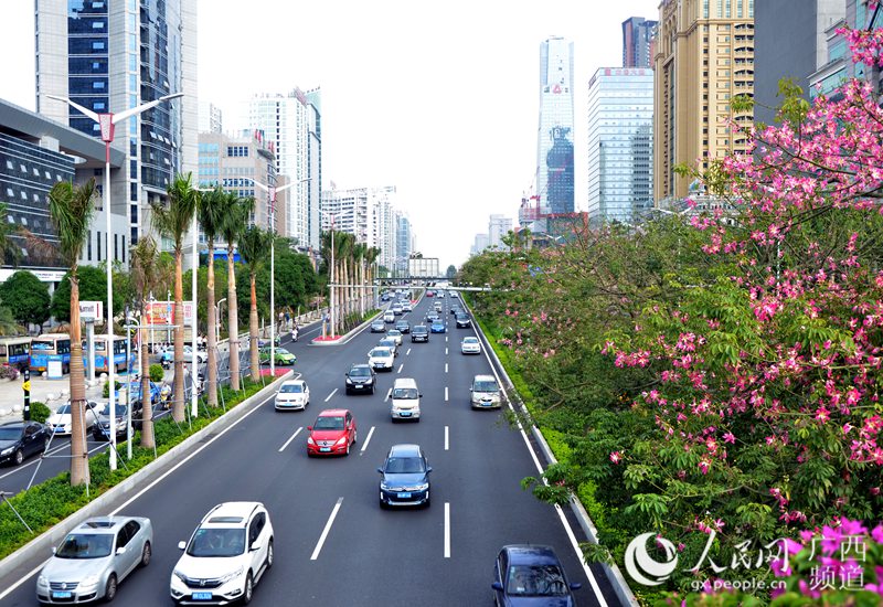 城市光影24小时:12时的南宁市民族大道(农冠斌、陆小桂、赵冬/摄)
