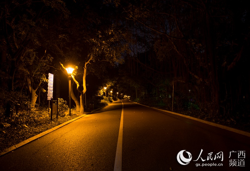 城市光影24小时:午夜的南湖公园(农冠斌、陆小桂、赵冬/摄)