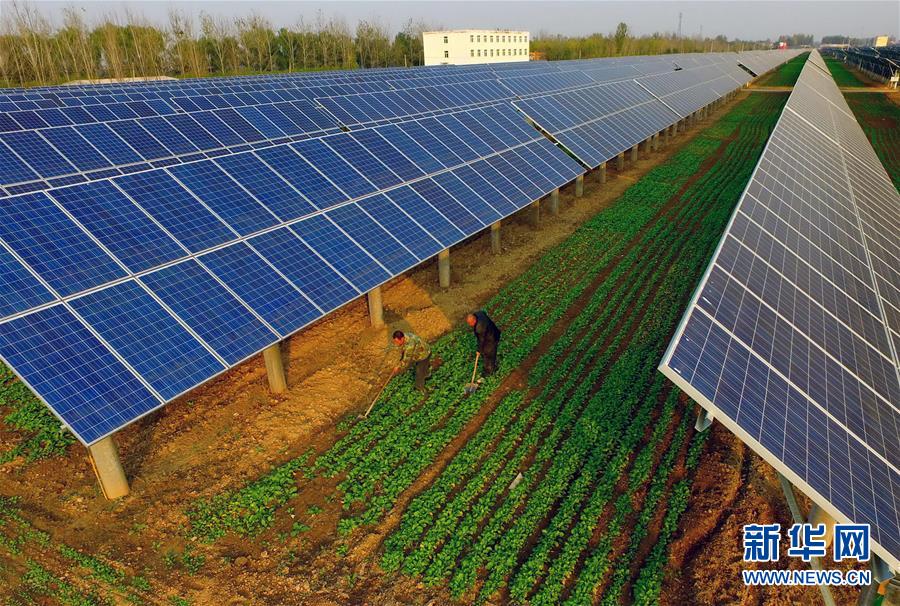 （社會）（2）河北巨鹿：光伏扶貧“照亮”致富路