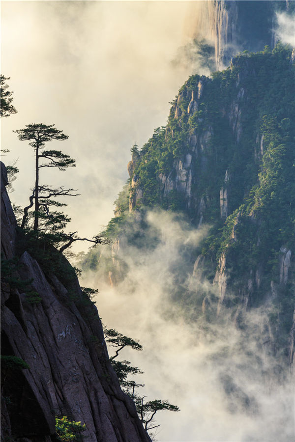 安徽黄山高居2016中国“氧吧城市”50强榜首