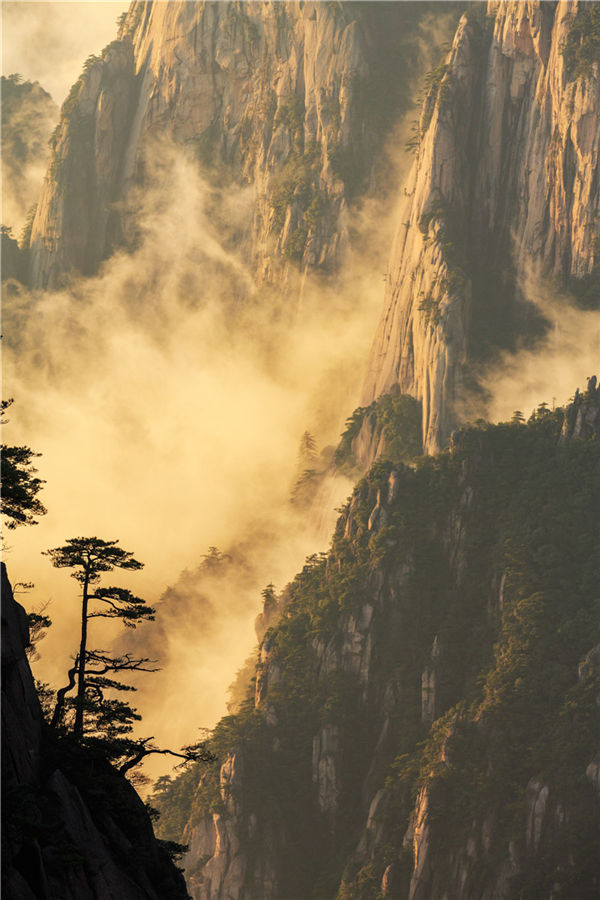 安徽黄山高居2016中国“氧吧城市”50强榜首