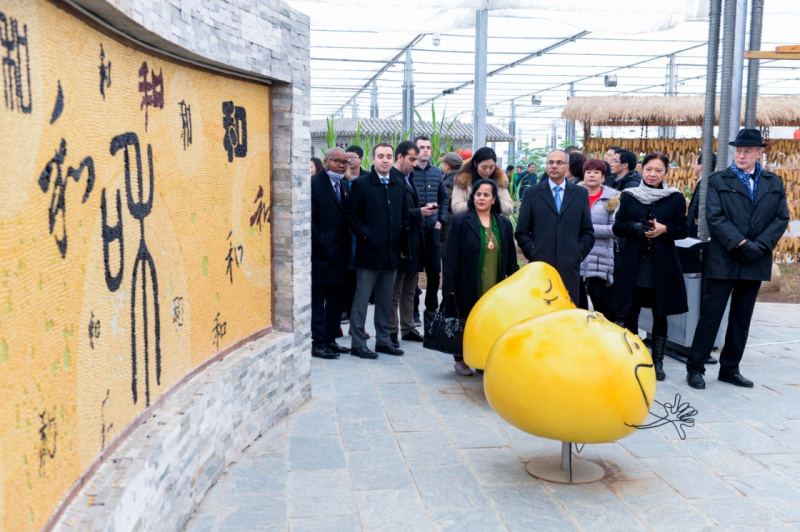 12月13日，参访团在河北省邢台市南和县农业嘉年华参观。