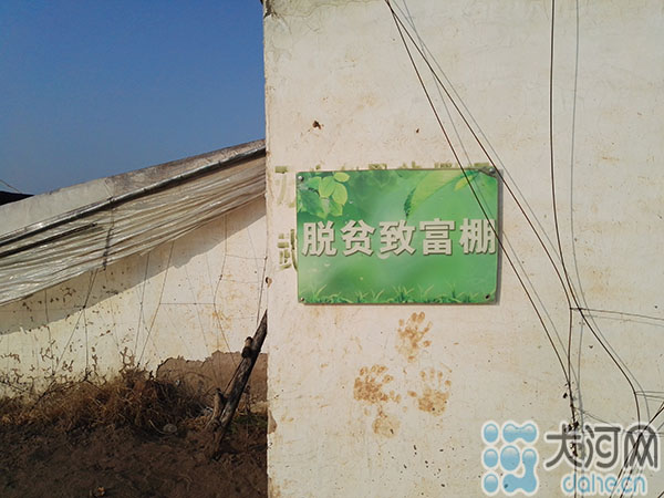 【蘭考脫貧系列報道】村民抱團發展走上致富路