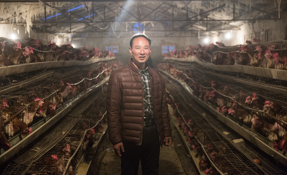中国农民新村——裴寨社区