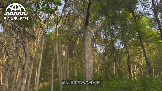 美麗中華行之走進航空小鎮,魅力壽昌