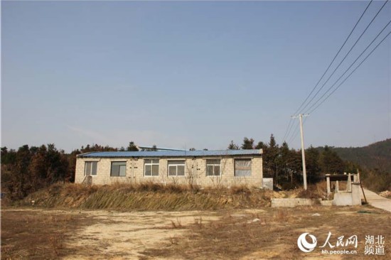 引进本村致富能手张建兵，在村里的荒山上投资500万元办养猪厂，已建猪舍7排成50间，养猪1200头，可年出栏2000头肥猪，年利润近500万元。