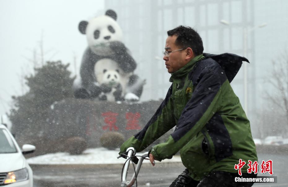 “春雪”袭京城 气温大幅下降