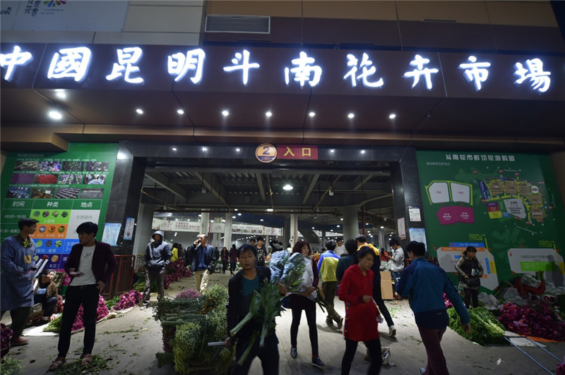 这是4月12日拍摄的云南昆明斗南花卉市场。