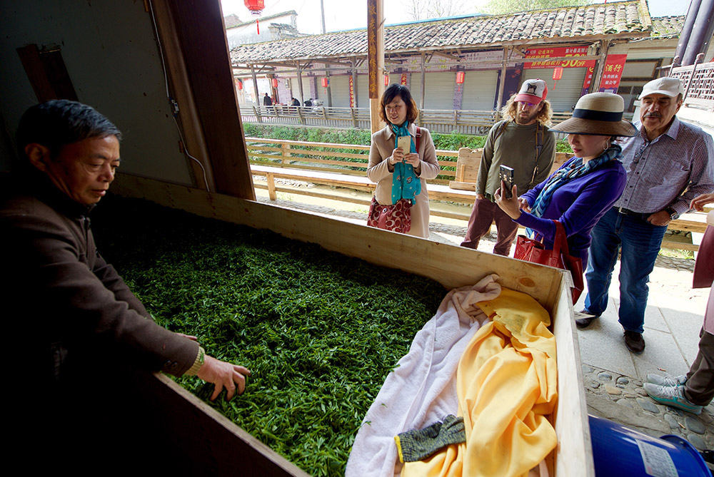 武夷山下梅村一位茶农在制作红茶，吸引了几位游客的目光（4月13日摄）。新华社记者 姜克红 摄