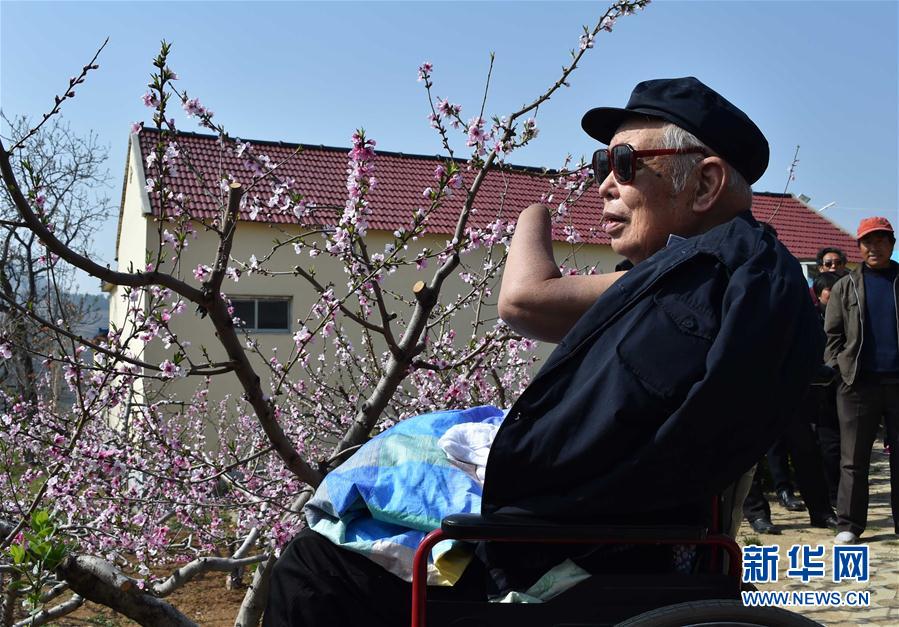 十里桃花，如你所愿