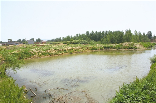 秦皇岛：海滨湿地生态整治再现自然之美