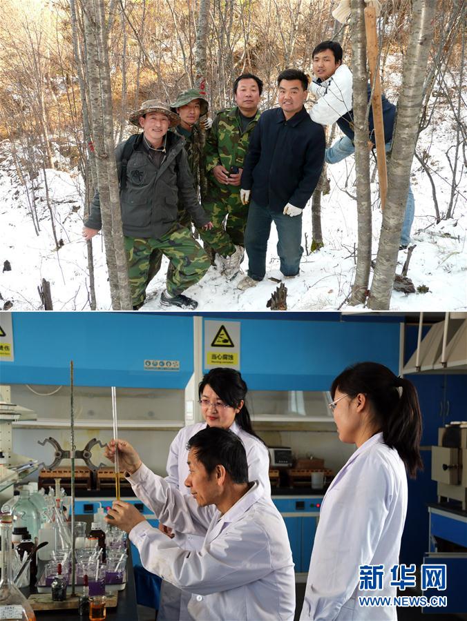 探訪祁連山生態的最新報告 探訪祁連山生態的最新報告