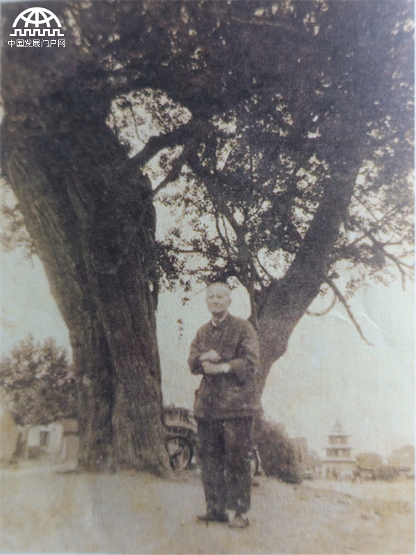 王罡:与著名书法家王冬龄谈林散之（上）