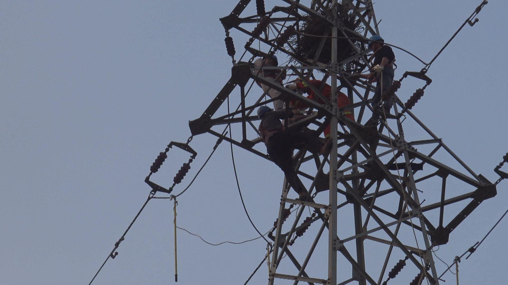 危险!十岁男孩爬高压塔掏鸟窝 被电击伤困30米高空