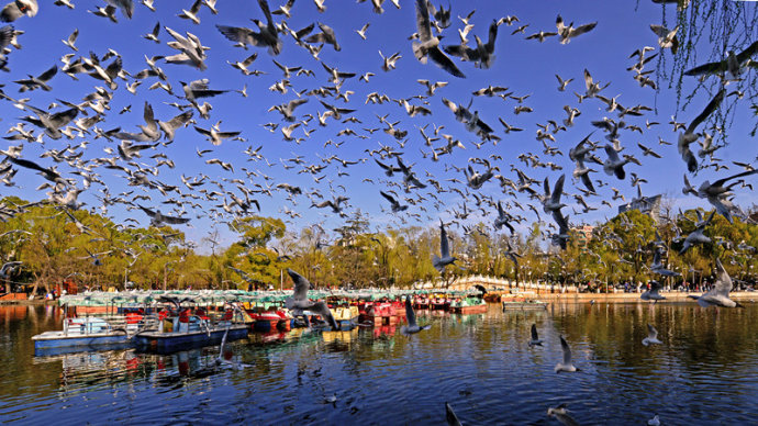 不吹不黑,差點背鍋的昆明為環保做了不少實事!