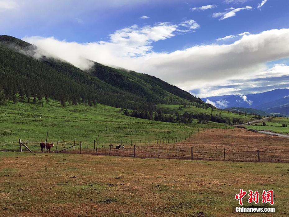 “西北第一村”白哈巴村美如“世外桃源”