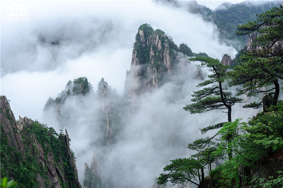 安徽:雨后黄山现云海大观