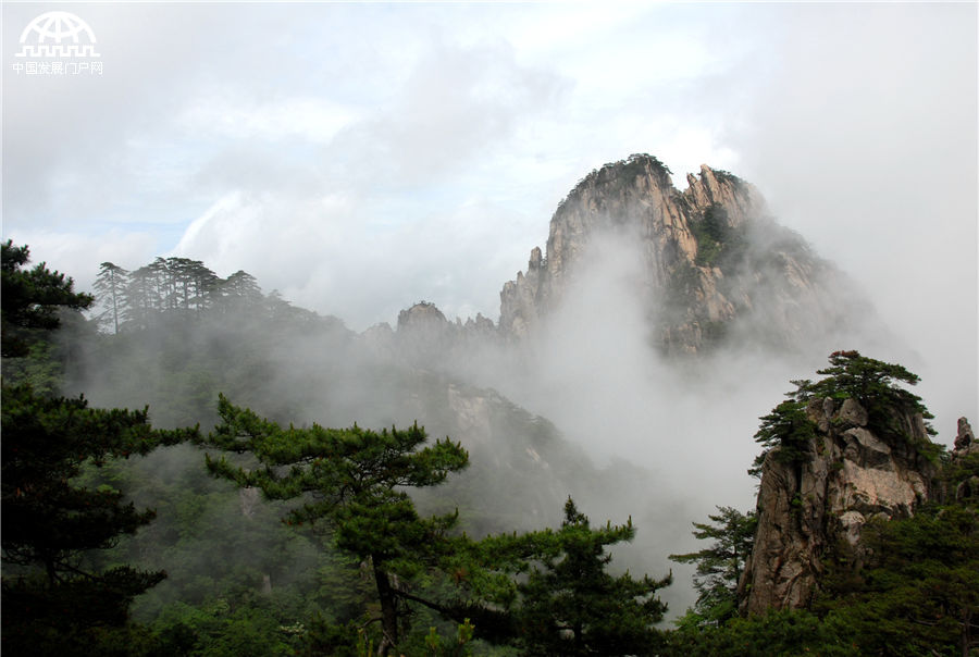 六月毕业季 登黄山开始一场属于自己的青春旅行