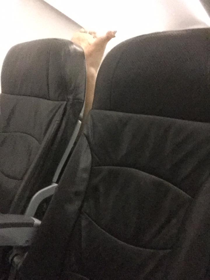 香港女子机舱内被韩国大妈拍醒:你换个座 我晾脚