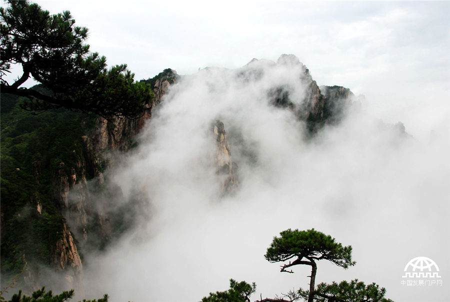 黄山六月天 多雨水多瀑布多云海