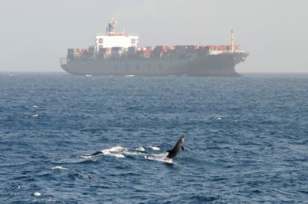 A ship of China Ocean Shipping Group Company (COSCO) sails in the Gulf of Aden under the escort of a Chinese naval fleet (not seen in the picture) on January 6, 2009. The Chinese naval fleet arrived Tuesday in the waters of the Gulf of Aden off Somalia to carry out the first escort mission against pirates. Four Chinese ships, including one from China's Hong Kong Special Administrative Region, were escorted by the fleet.