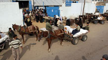 Palestinian refugees receive food in aid from an office of the United Nations in Gaza City on January 8, 2009. [Xinhua]