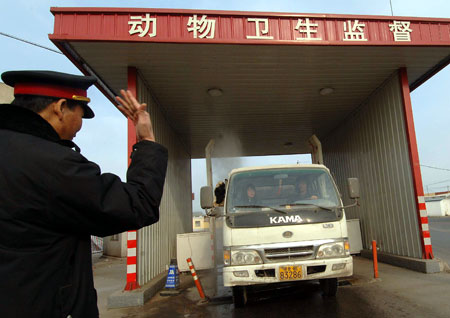 A truck carrying animals is disinfected at a checkpoint in Beijing, capital of China, on January 8, 2009. The Beijing municipal government has ordered better monitoring of live poultry trade, strengthening poultry examinations and disinfection after a 19-year-old woman died from bird flu virus in Beijing on Monday.