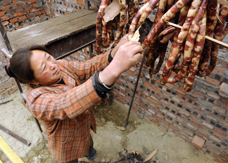 Peng Fuxiang prepares sausage for the Lunar New Year at Lianhe Village, Longxi Town of Wenchuan County in southwest China's Sichuan Province, on January 8, 2009.