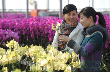 Young women buy moth orchids in a greenhouse of Zhejiang University in Hangzhou, capital city of east China's Zhejiang Province, on January 15, 2009. The local flower business heats up in the market as the Chinese traditional Spring Festival approaches.