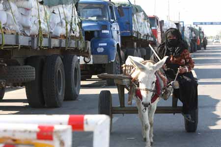 An Egyptian woman on her donkey cart passes trucks loaded with aids outside Rafah Crossing at the Egyptian-Gaza border, on January 21, 2009. Four days after Israel announced a unilateral ceasefire in the Palestinian territory of Gaza Strip, more humanitarian aid convoys arrived at Rafah crossing at the Egyptian-Gaza border, waiting for the permission to get into the Palestinian enclave.