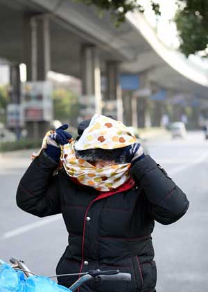 A lady braves gale in the street of Hangzhou, capital of east China's Zhejiang Province, on January 23, 2009.