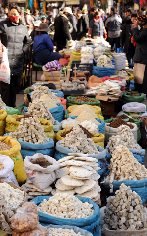 Locals select milk products for the imminent Spring Festival in Lhasa, capital of southwest China's Tibet Autonomous Region, on January 24, 2009. As the Chinese lunar New Year and Tibetan New Year are approaching, the supply of goods for Tibetan is abundant and the price is stable.