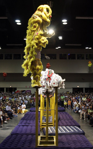 Chinese acrobats perform lion dance during a ceremony to celebrate Chinese Lunar New Year in Panama City, on January 25, 2009.