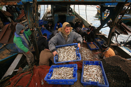 Fishermen work near the coast of the Mediterranean Sea in Gaza City, the Gaza strip, on January 28, 2009. [Xinhua]