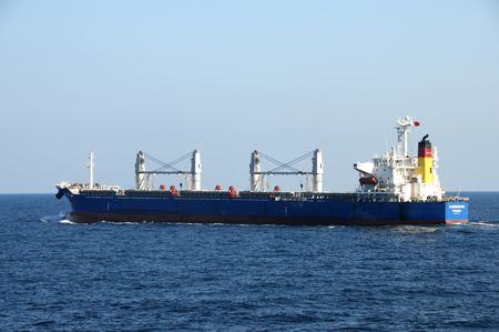 Crew members on the merchant vessel &apos;Lianhuahai&apos; welcome the Chinese navy which will escort it to pass through the Gulf of Aden, on February 1, 2009. The Chinese naval fleet started carrying out the 15th batch of escort missions against pirates on February 1.