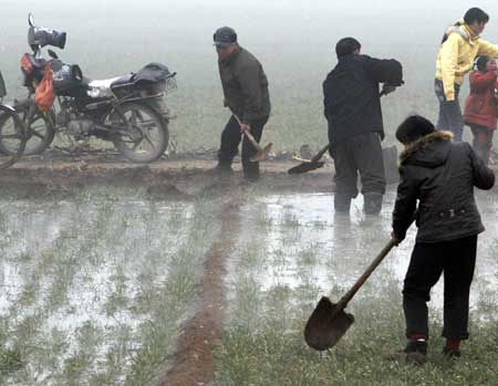 Villagers irrigate the droughty wheat field with water from well in Gaoshan Township of Luoyang City, central China's Henan Province, February 2, 2009.