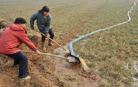 People irrigate the wheat field at Xindian Village in Luoyang, a city in central China's Henan Province, on January 4, 2009. Drought has hit most of Henan Province, one of China's key wheat producing regions, due to lack of rainfall since last October.