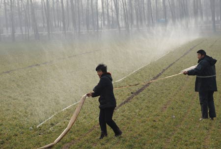 People irrigate a wheat field in Laocheng Township of Changge County, central China's Henan Province, on February 3, 2009. Henan, one of China's key wheat producing regions, has suffered from drought since Oct. 24, 2008. Some 2.9 million hectares of farmland in Henan were affected. 