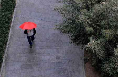 A man with umbrella against the rain walks in a park in Beijing, capital of China, on February 12, 2009. Beijing welcomed its first rain in 110 days on Thursday morning, but experts say it was too little to end the city's lingering drought.