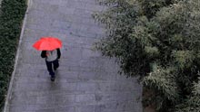 A man with umbrella against the rain walks in a park in Beijing, capital of China, on February 12, 2009. Beijing welcomed its first rain in 110 days on Thursday morning, but experts say it was too little to end the city's lingering drought.