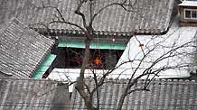 Snow is seen on roofs in Beijing, capital of China, on February 17, 2009.