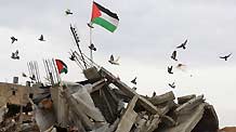 Pigeons fly over house rubbles at Jabalia refugee camp in the northern Gaza Strip March 2, 2009. An international donor's conference was held on Monday in Egypt in an effort to raise funds for the rebuilding of the Gaza Strip battered by Israel's 22-day military attacks.