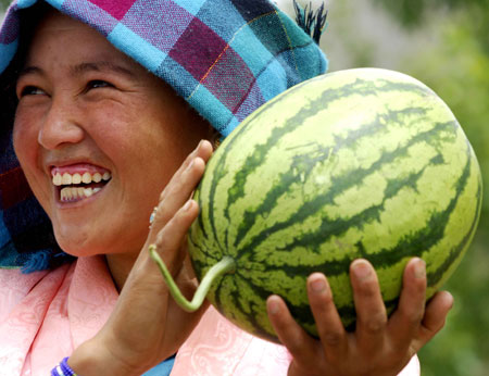 A farmer is happy with the good harvest of watermelon in Xigaze, southwest China's Tibet Autonomous Region, on June 15, 2007.