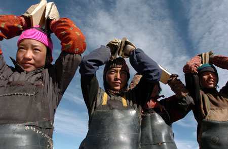 Followers of the Tibetan Buddhism practise kowtow, a ritual in Tibetan Buddhism to express the followers' most honest heart to the Buddha, as they walk from their hometowns in the north of southwest China's Tibet Autonomous Region to Lhasa, the region's capital, on January 10, 2007.